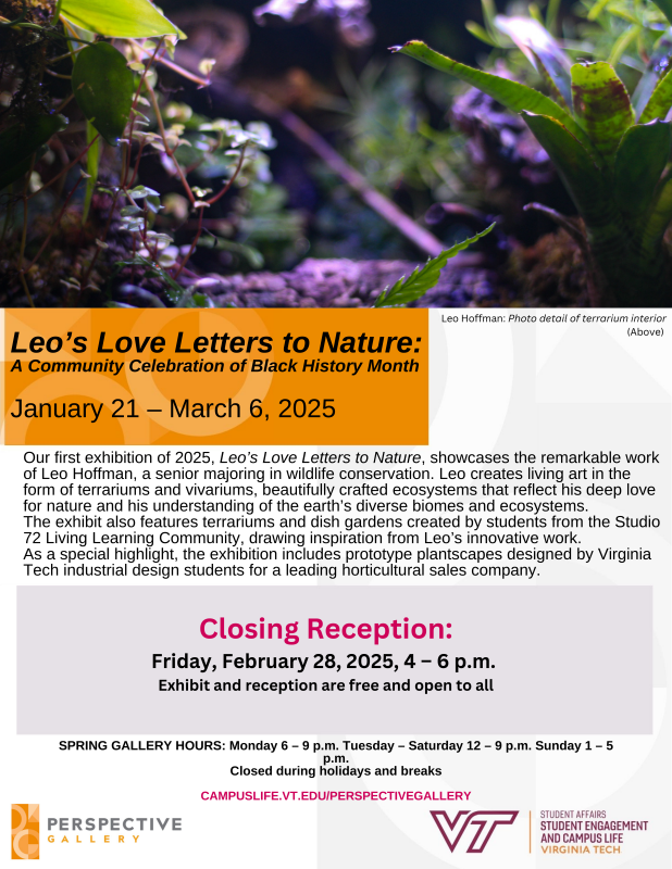 Flyer for Perspective Gallery event - Leo's Love Letters to Nature
