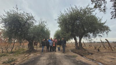 A group of people stand in the middle of a dirt road flanked by trees and grape vines