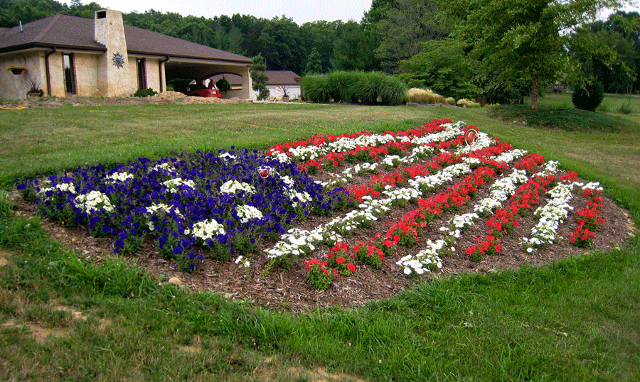 Holtman's Best in Contest garden