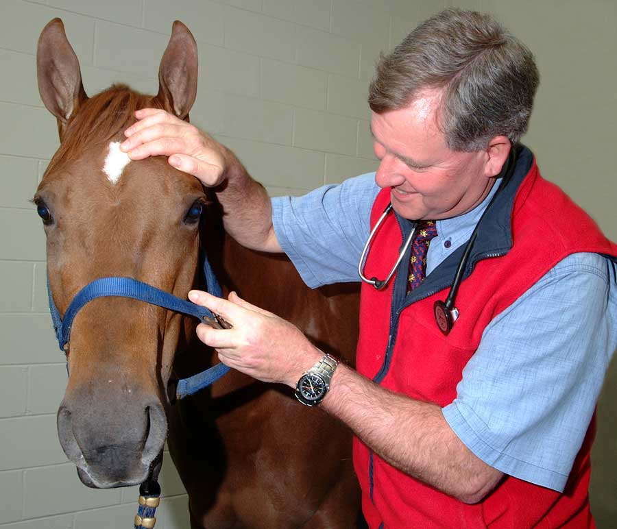 Dr. David Hodgson examines a patient.