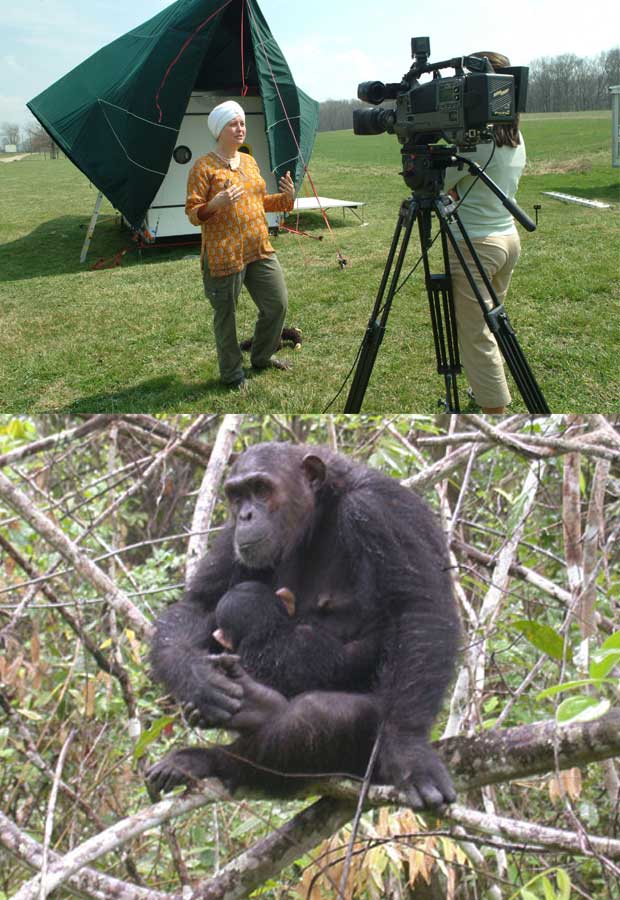 (Top) Dr. Taranjit Kaur stands in front of the PLUG  laboratory. (Bottom) Chimpanzees.