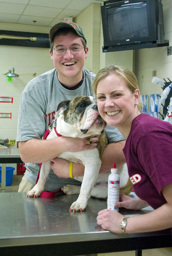 Students wash a dog at the annual event.