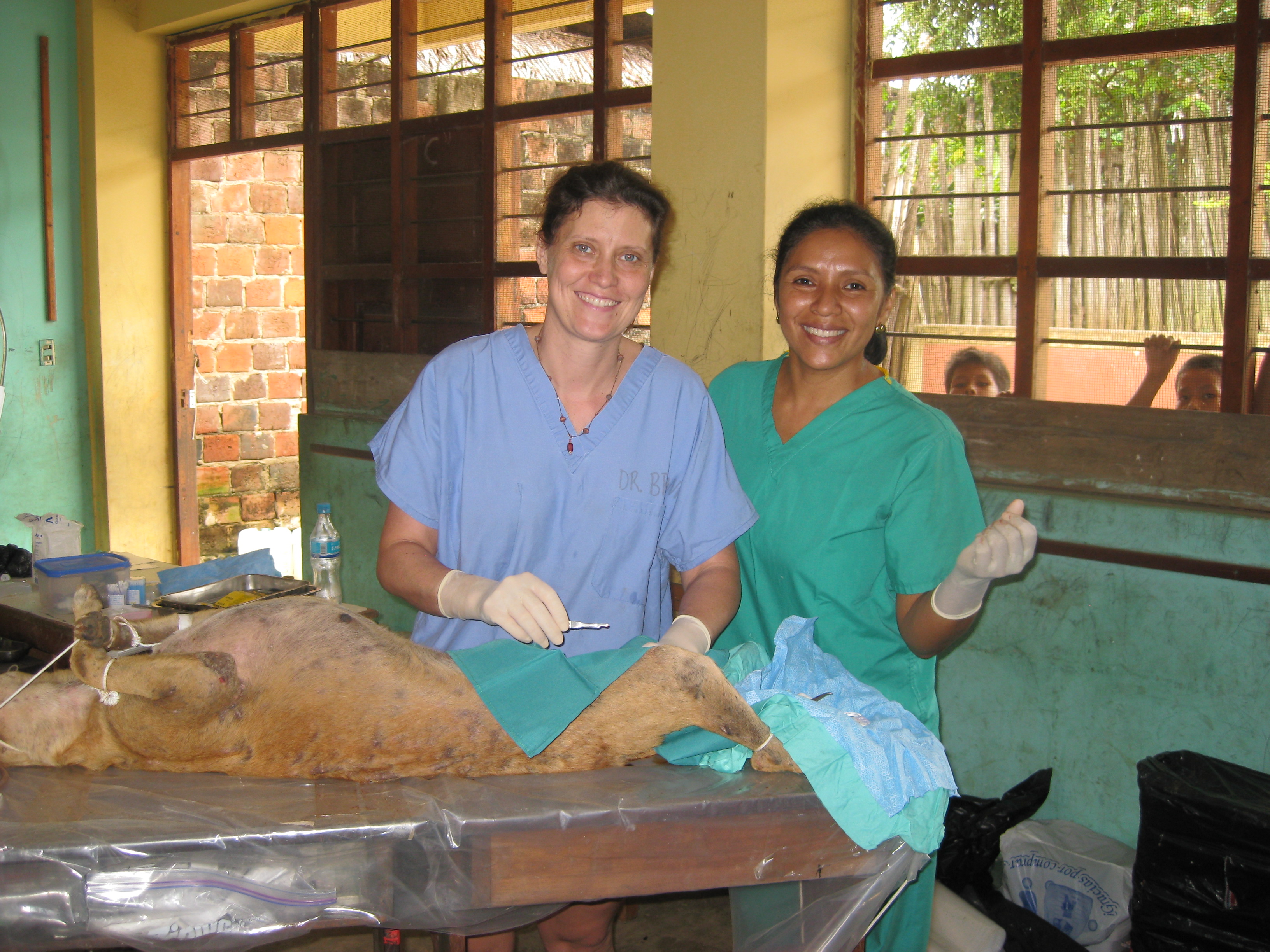 Dr. Jennifer Brown performs surgery on a patient in Requeña, Peru, with the assistance of Esther Peña, a Peruvian veterinarian associated with Amazon Cares, an animal welfare group in Iquitos, Peru.
