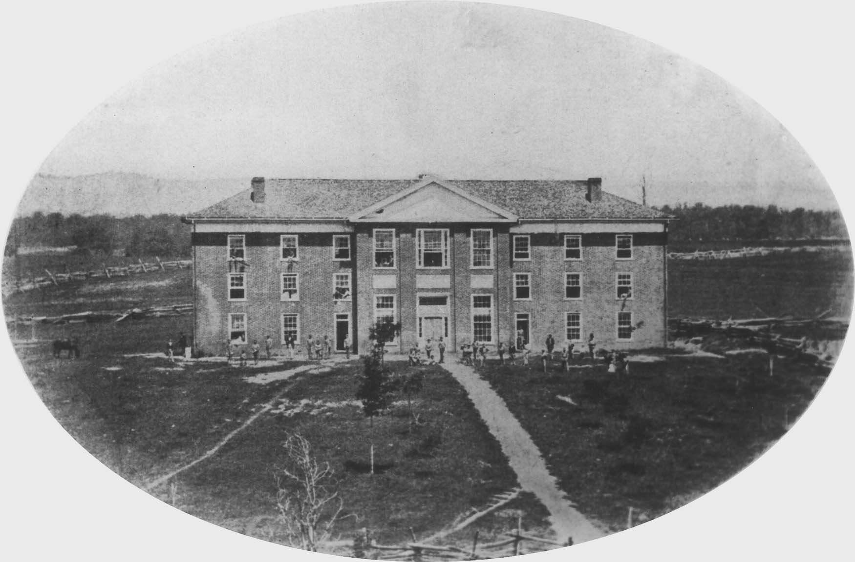 Sycamore tree on Henderson lawn