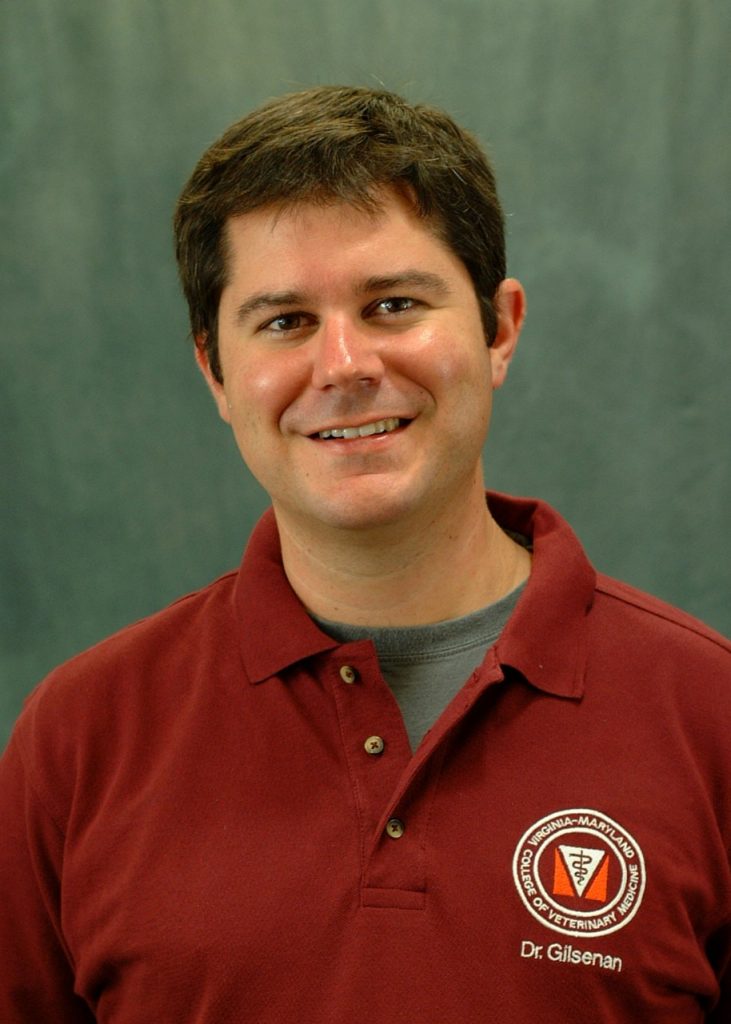 Dr. William Gilsenan joins veterinary college as clinical instructor of