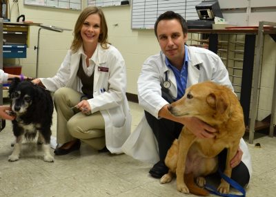 Dr. Shawna Klahn and Dr. Nick Dervisis meet with patients.