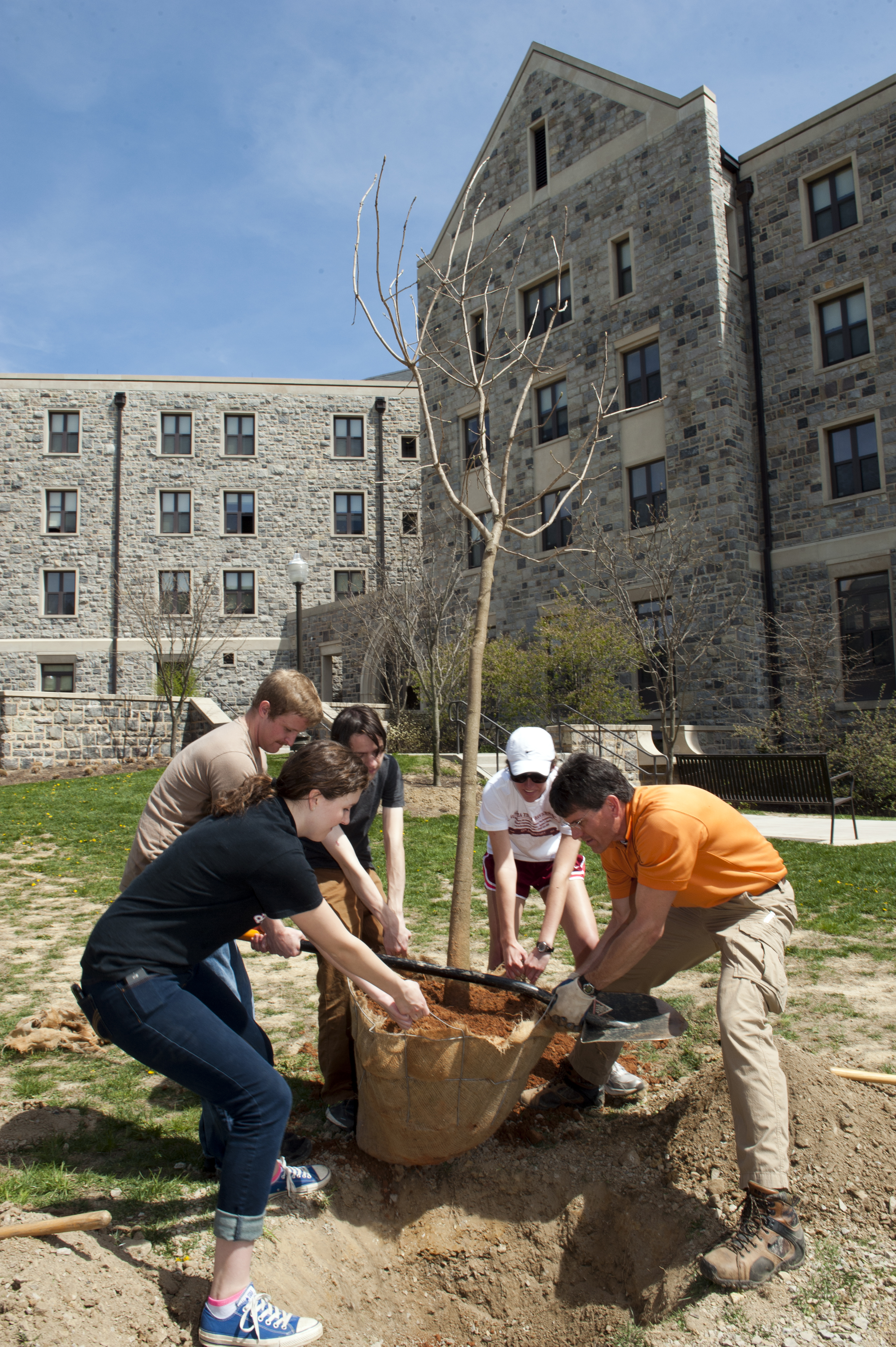 Students plant a tree outside of New Hall West