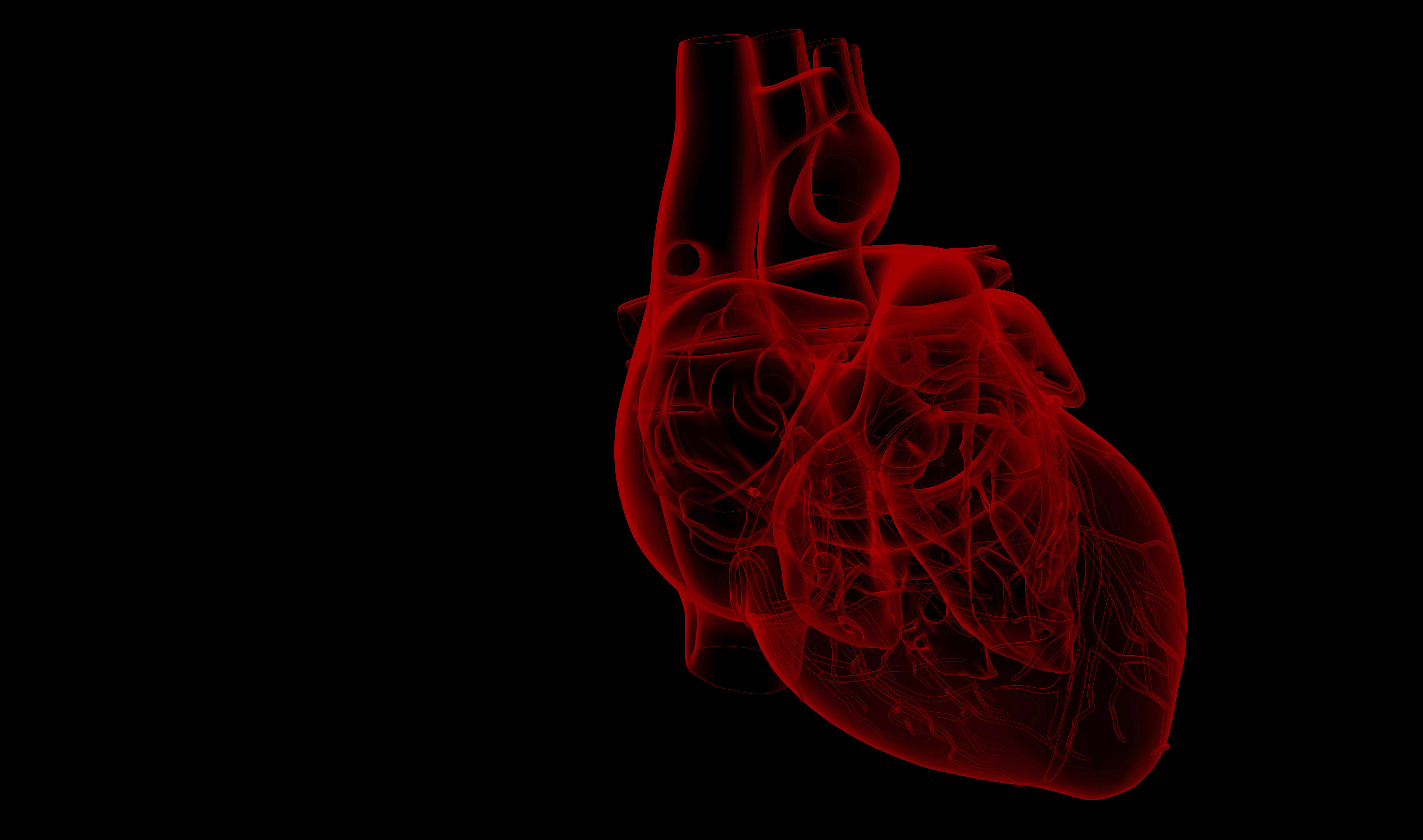 An image of a human heart on a black background