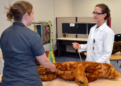 Dr. Meghan Byrnes at the clinical skills lab