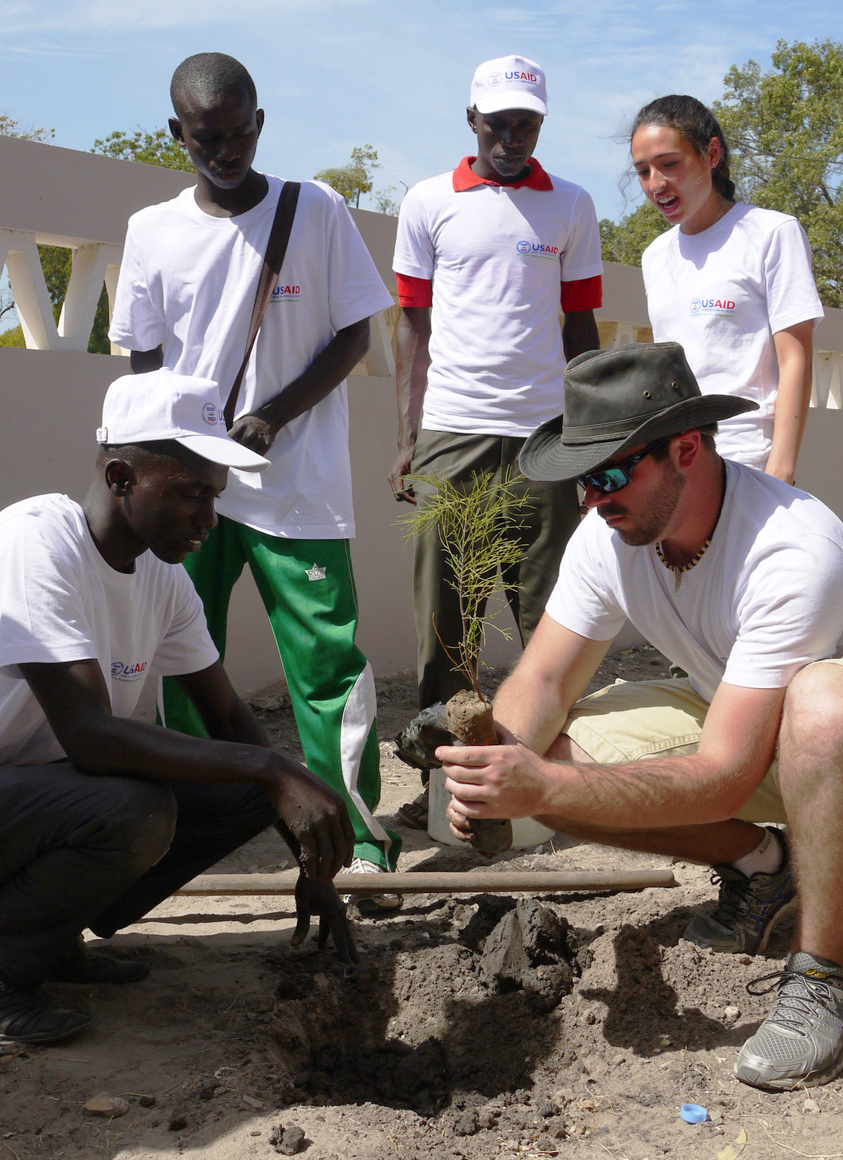 students help plant tree in Senegal