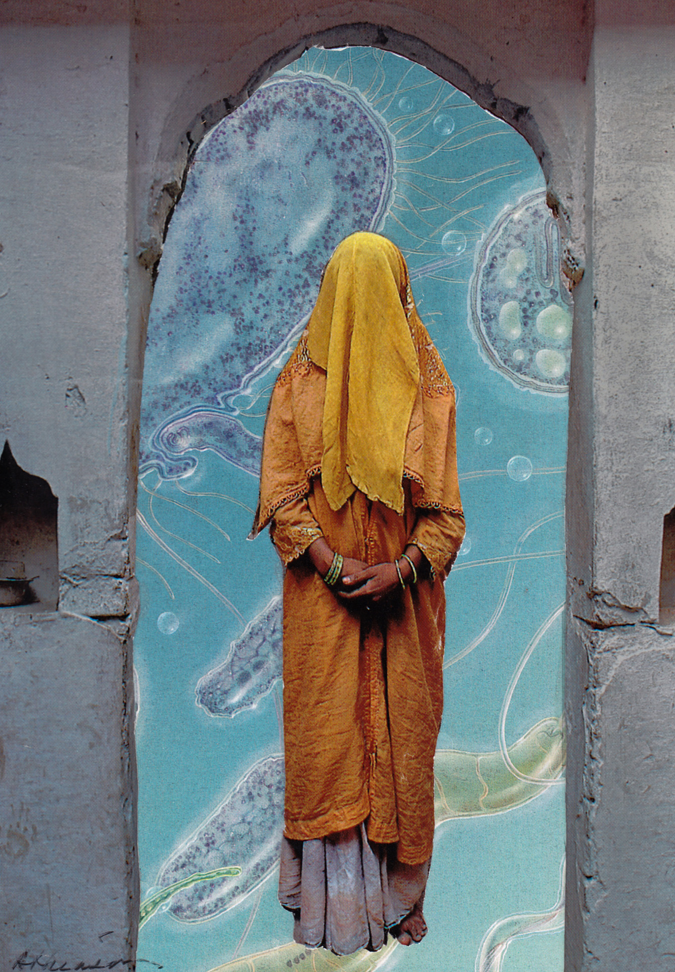 "Burka," by Linda Atkinson