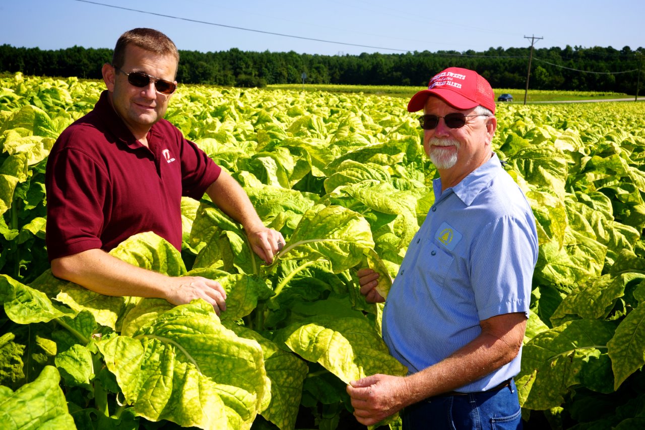 Mike Parrish and Swisher Sunbelt Farmer of the Year Don Turner in a tobacco field.