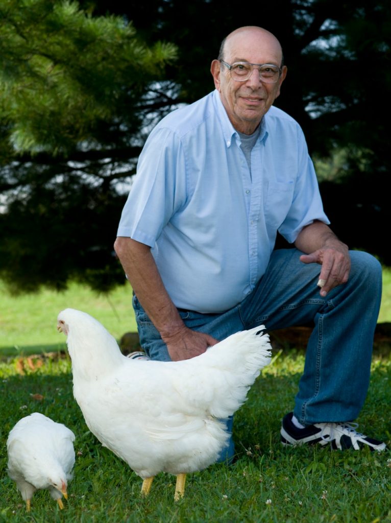 Study using genetic lines of Virginia Tech chickens reveals evolution ...