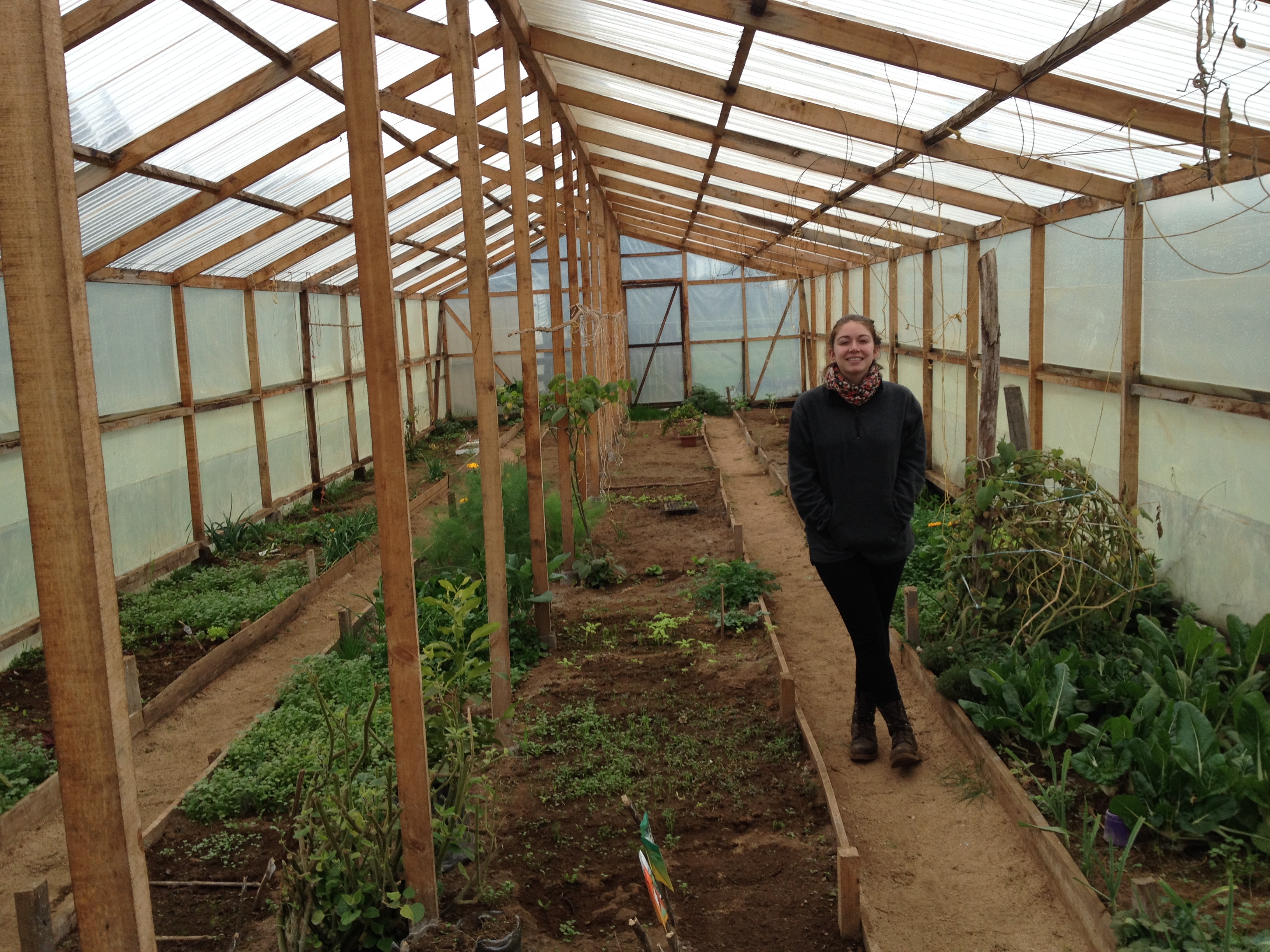 Travertine Orndorff stands in a greenhouse