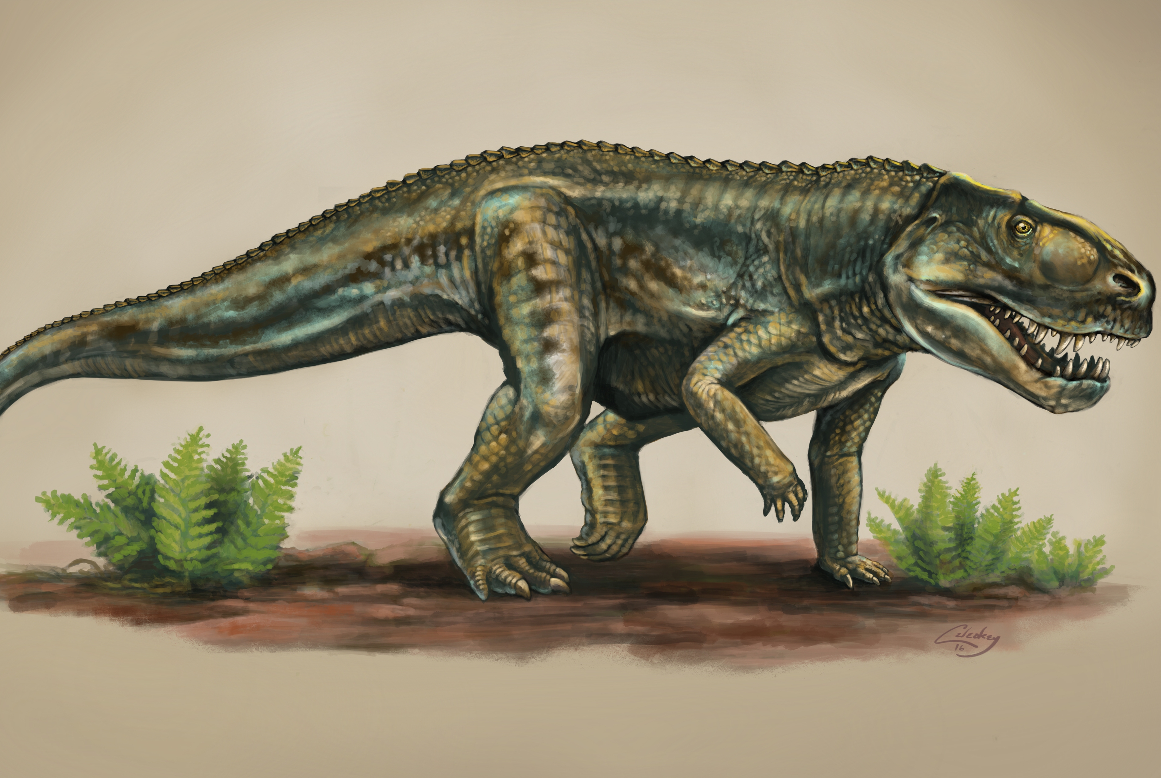 Слово динозавр означает страшный ящер. Архозавры мезозой. Архозавры предки крокодил. Архозавры Триасового периода. Равизухии Триасового периода.