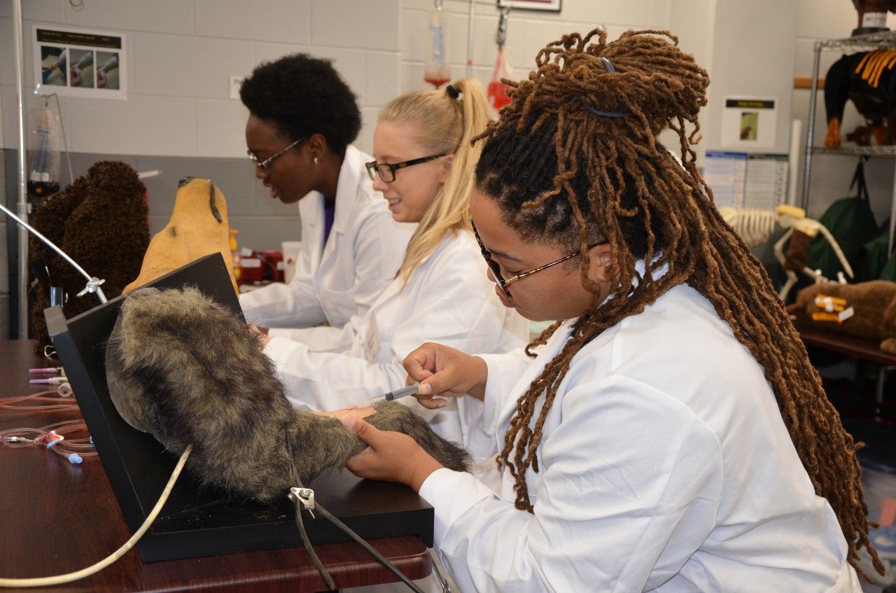 Program participants practiced a variety of clinical techniques in the college's clinical skills lab.