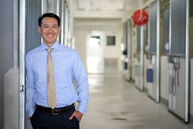 Dr. David Wong, head of Vet Med's Department of Large Animal Clinical Sciences 