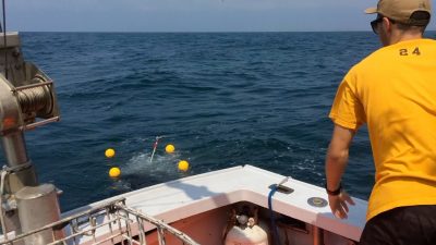 An ocean drifter is released into the Atlantic Ocean from a research vessel off the Massachusetts coast.  The drifter has four small yellow floats and a GPS transmitter held on a pole above the water surface.  Information from drifters tells researchers above the ocean currents. Photo courtesy of Shane Ross. 