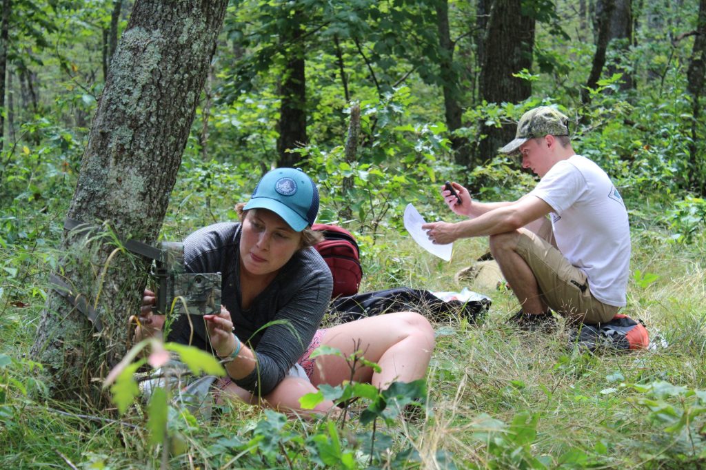 Field course gives students up-close look at tracking, studying ...