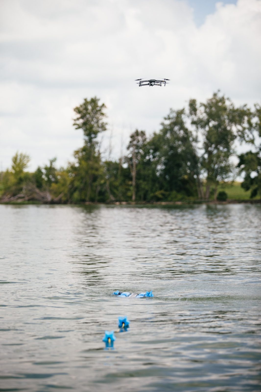 A drone hovers above a swimming ROV equipped with bright blue sensors that follow in its wake. It heads in the direction of the coast, which is riddled with living and dead trees. Courtesy of Christina+David.