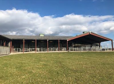 Kentland Farm milking enclosure before the renovations (not fully enclosed)