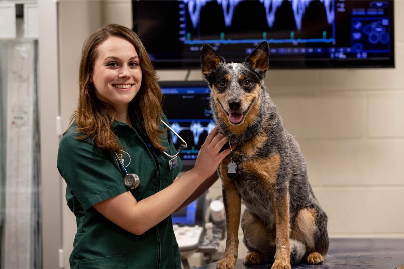 Catherine "Kate” Pouliot, 2020 valedictiorian, Virginia-Maryland College of Veterinary Medicine  