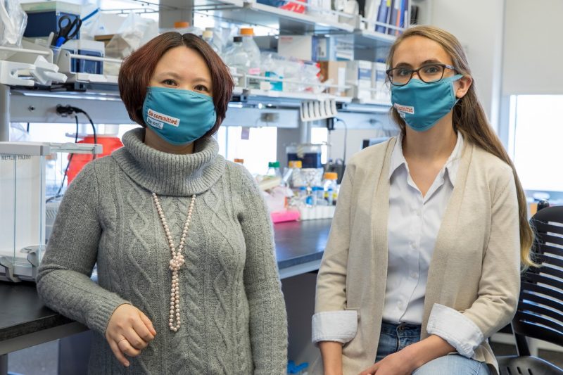 Xin Luo, associate professor of immunology at the Virginia-Maryland College of Veterinary Medicine, and Brianna Swartwout, a doctoral candidate in the Translational Biology, Medicine, and Health Graduate Program