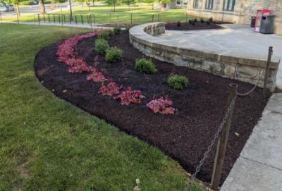 Pink flowers and new mulch at Student Services building entrance