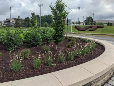 New landscaping within traffic circle closest to campus on Southgate Drive