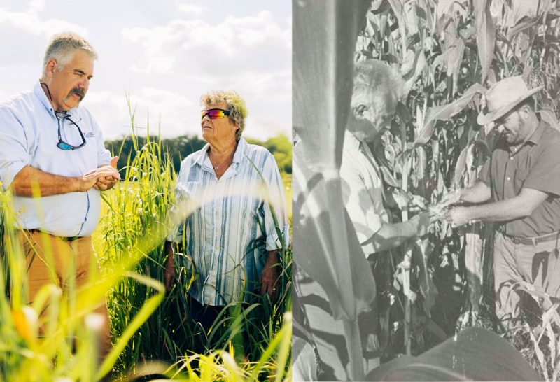 While styles and technology and the world may change, it hasn’t changed what Virginia Cooperative Extension has done for more than 100 years – advance the wellbeing of Virginia by empowering its people, stewarding its resources, and shaping its future.