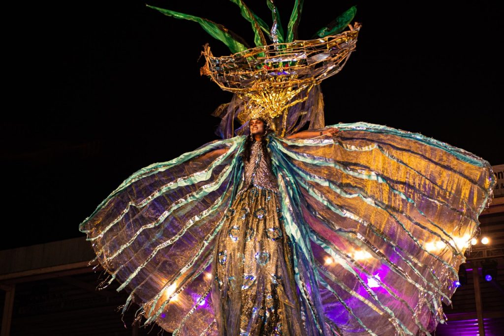 Doctoral student captures Trinidad's culture through Carnival ...