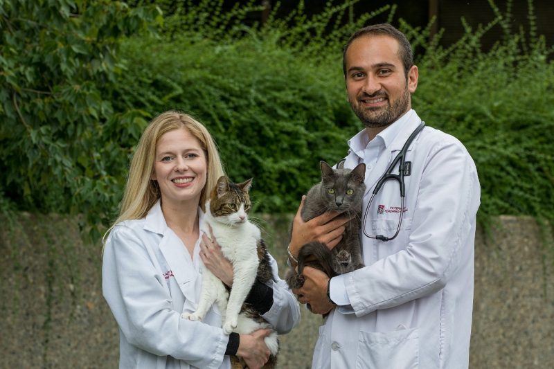Ashley Wilkinson, Assistant Professor, Small Animal Internal Medicine and  Giulio Menciotti, Assistant Professor, Cardiology stand in-front of the Veterinary Teaching Hospital at the Virginia-Maryland College of Veterinary Medicine. Photo by Andrew Mann for Virginia Tech.