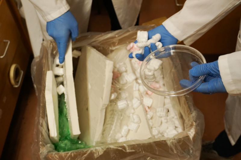 Hands wearing safety gloves are reaching into a box of styrofoam and plastic. 