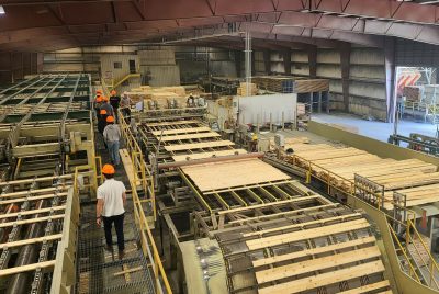 A group of people walk along a floor where large pieces of wood are moving along conveyor belts for stacking.