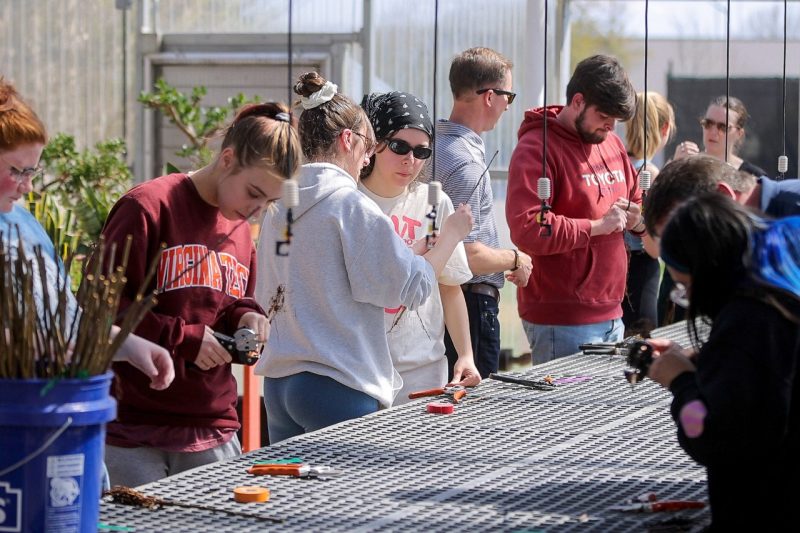 Several students work at a table cutting plants