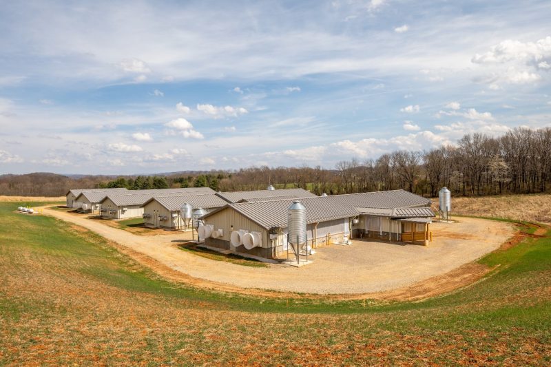 Several technological upgrades and new facilities are coming to the College of Agriculture and Life Sciences, including The Swine Center and the Beef Nutrition and Kentland Hay Shed at Kentland Farm. Photo by Meghan Marsh for Virginia Tech.