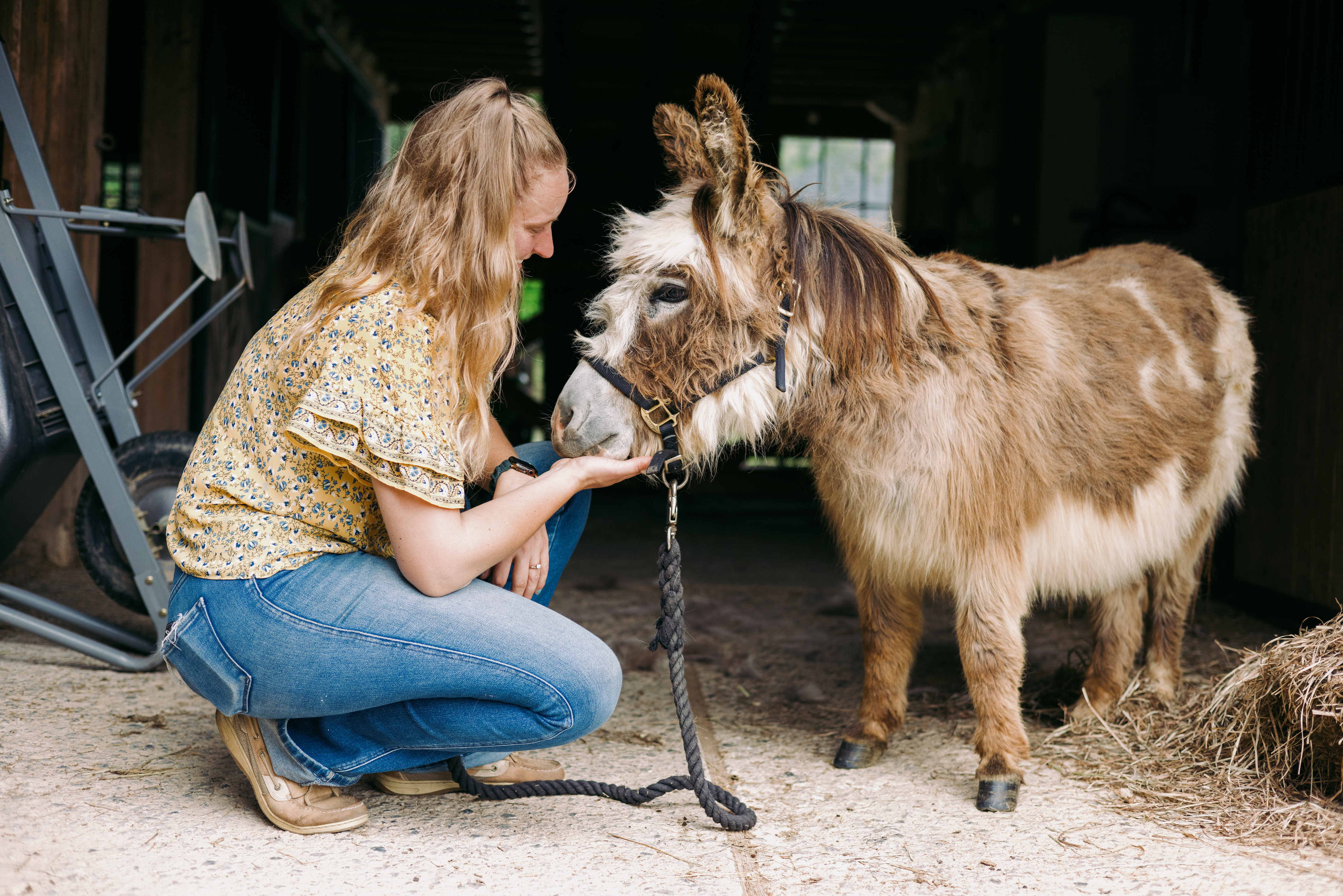 Natalie Duncan crouches next to adorable brown and white mini donkey Fireball.