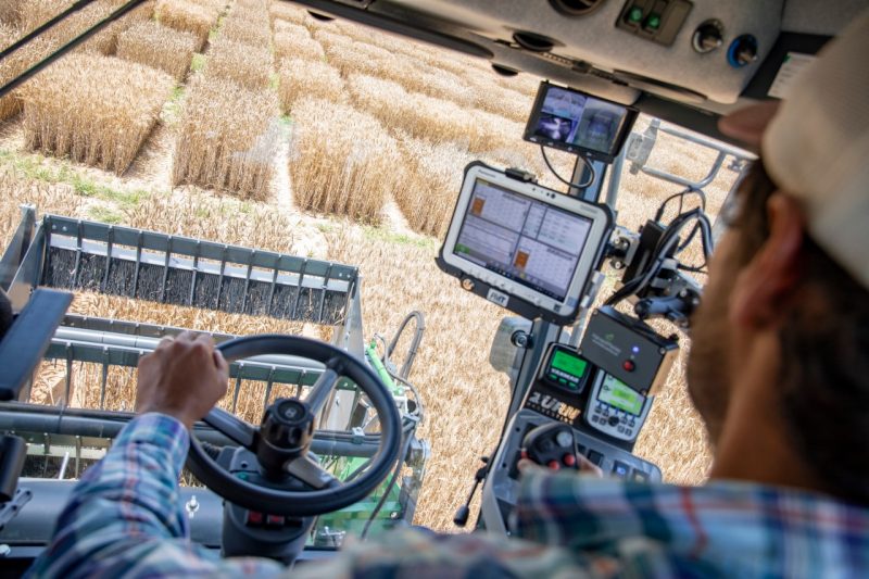 Producer uses modern combine to harvest wheat.