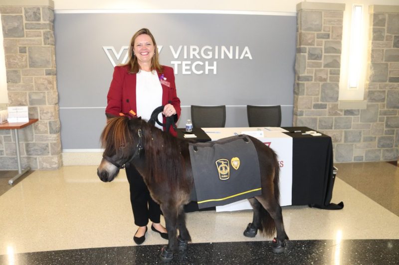 photo of CVC Honorary Chair Lynsay Belshe with the police patrol pony and special CVC co-chair Ringo