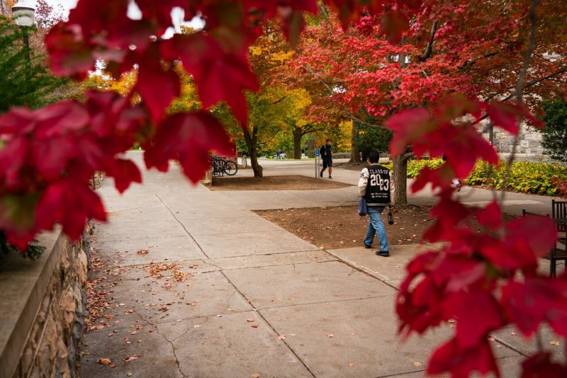 A person walks along a pathway while leaves change color on campus