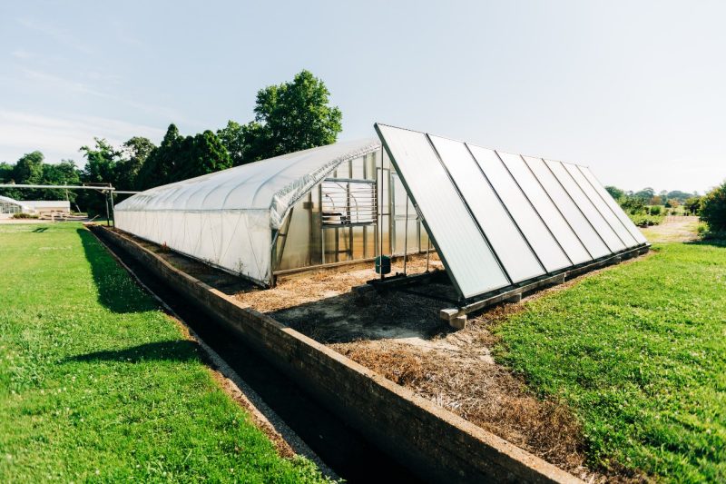 Greenhouse at the Hampton Roads Agricultural Research and Extension Center