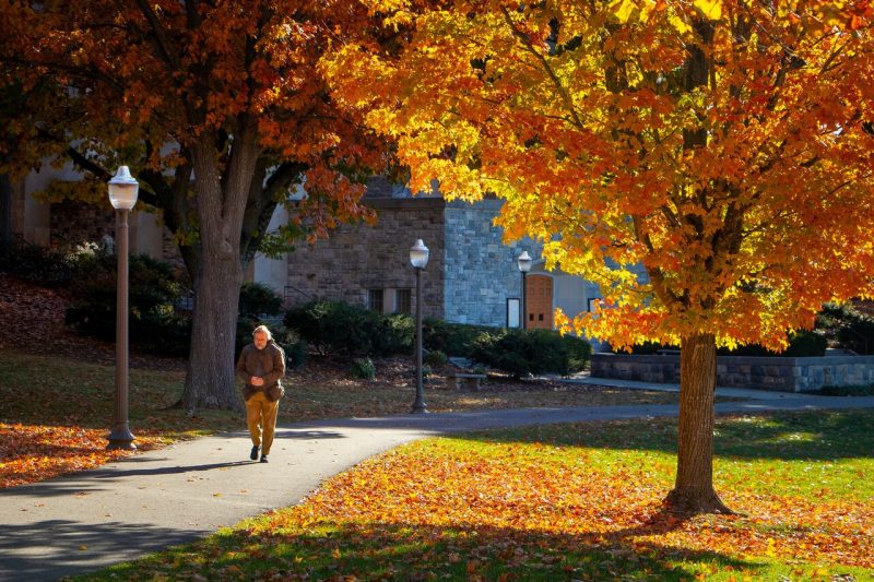 Faculty member walks across the Drillfield by autumnal trees.