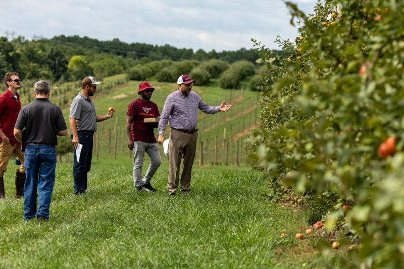 A man gestures at trees before a group of people in an apple orchard.