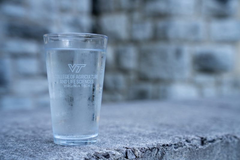 Water glass filled with water with Hokie stone in the background