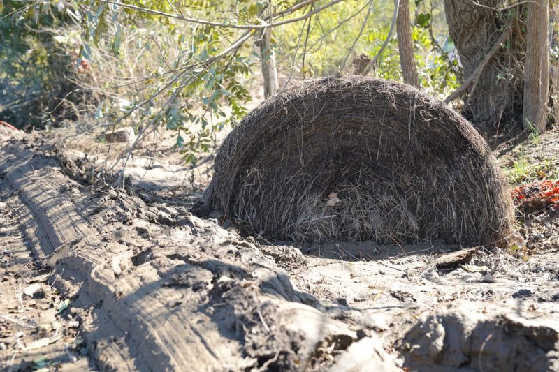 A round hay bale lies on the ground, mired in mud.