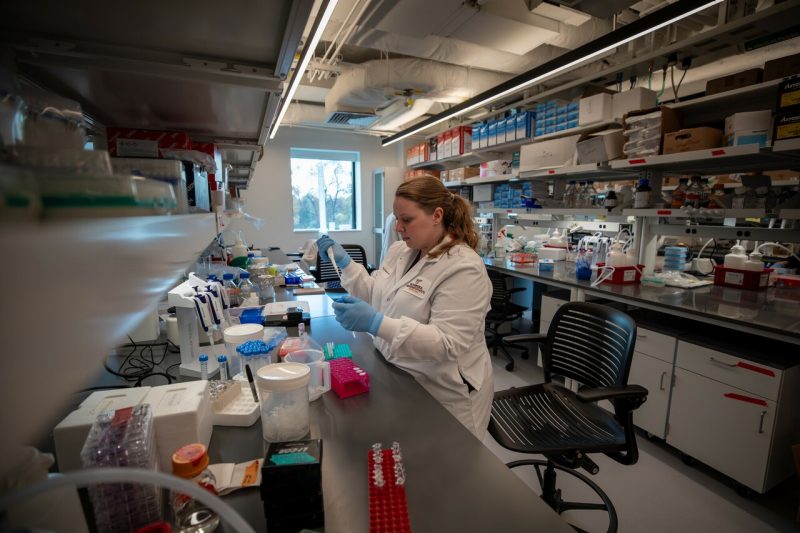 The latest National Science Foundation’s Higher Education Research and Development survey shows Virginia Tech had the second highest percent of growth in Department of Health and Human Services support among the top-100 universities. Kathleen Mulvaney, assistant professor with the Fralin Biomedical Research Institute’s cancer research center in Washington, D.C. is working to identify treatments for childhood cancers. Photo by Craig Newcomb for Virginia Tech