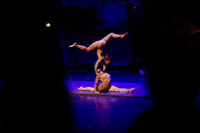 Acrobatic performers strike a stunning pose on stage