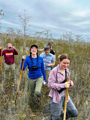 Researchers (from left) Paige Crane Mary Grace Larson, Amber Hawes, and Jess Henry in Everglades National Park. Photo courtesy of Mary Grace Larson