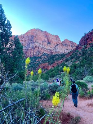 Maia Caddle in Zion National Park. Photo courtesy of Mary Grace Larson