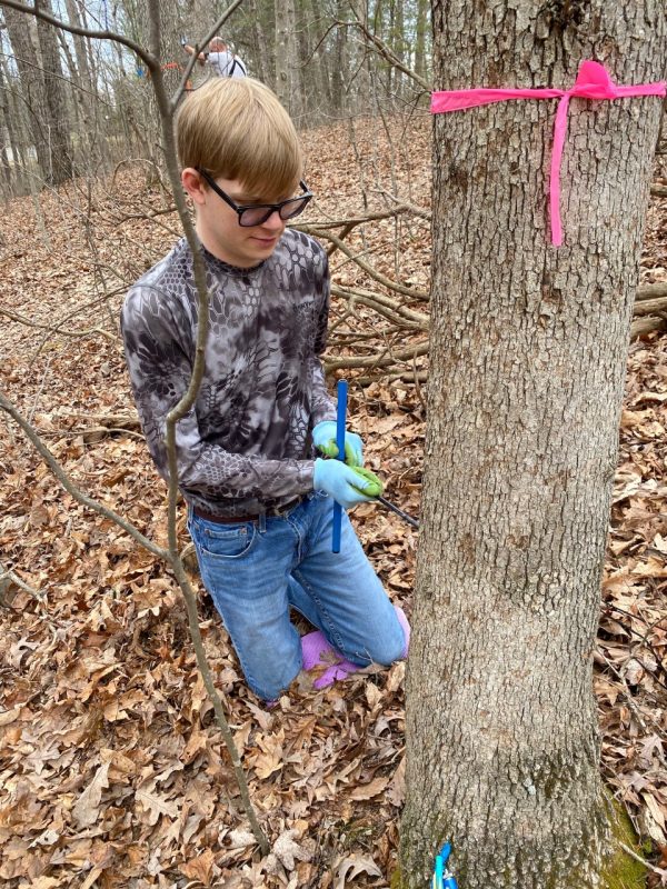 man in jeans kneels next to a tree